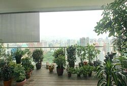 Orchard View (D9), Apartment #300088681